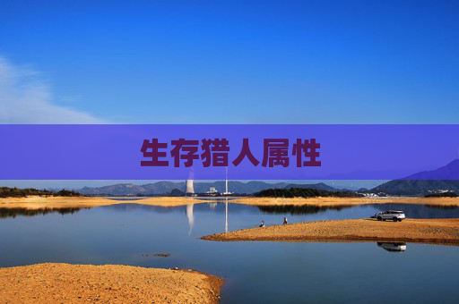 生存猎人属性 生存猎人属性