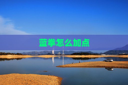 蓝拳怎么加点