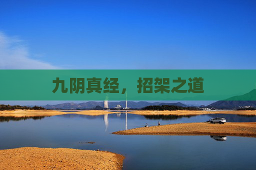 九阴真经,招架之道 九阴真经,招架之道
