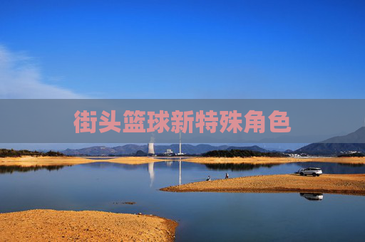 街头篮球新特殊角色
