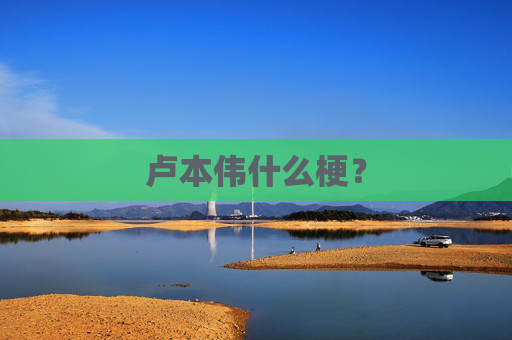 卢本伟什么梗？