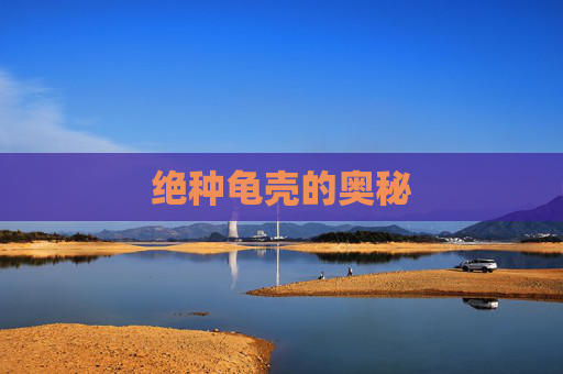 绝种龟壳的奥秘