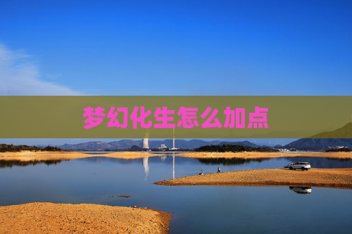 梦幻化生怎么加点