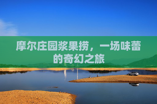 摩尔庄园浆果捞，一场味蕾的奇幻之旅