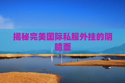 揭秘完美国际私服外挂的阴暗面