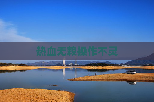 热血无赖操作不灵