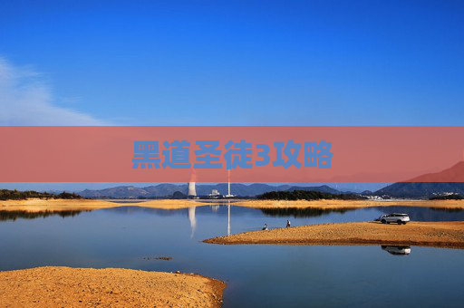 黑道圣徒3攻略 黑道圣徒3攻略