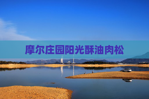 摩尔庄园阳光酥油肉松 摩尔庄园阳光酥油肉松