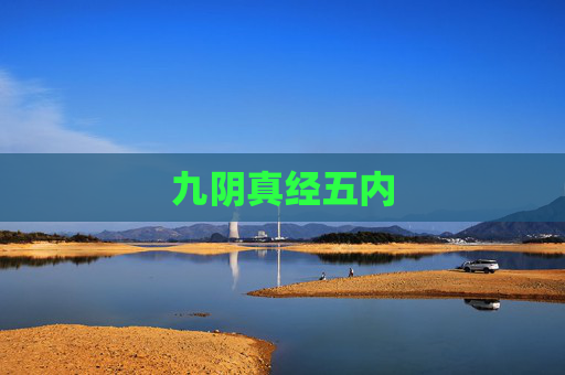 九阴真经五内