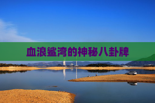 血浪鲨湾的神秘八卦牌