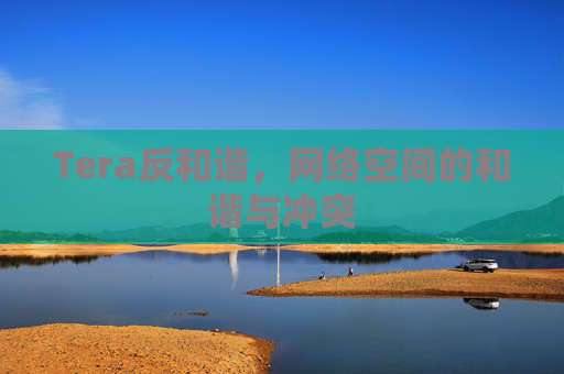 Tera反和谐，网络空间的和谐与冲突