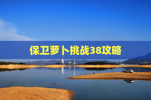 保卫萝卜挑战38攻略