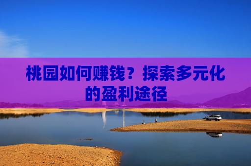 桃园如何赚钱?探索多元化的盈利途径 桃园如何赚钱?探索多元化的盈利途径