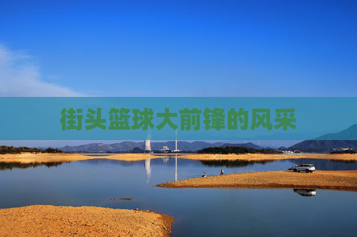 街头篮球大前锋的风采 街头篮球大前锋的风采
