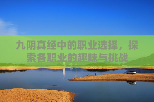 九阴真经中的职业选择,探索各职业的趣味与挑战 九阴真经中的职业选择,探索各职业的趣味与挑战