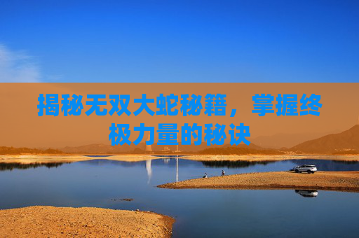 揭秘无双大蛇秘籍，掌握终极力量的秘诀