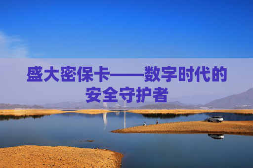 盛大密保卡——数字时代的安全守护者
