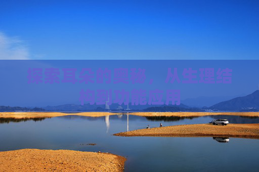 探索耳朵的奥秘,从生理结构到功能应用 探索耳朵的奥秘,从生理结构到功能应用