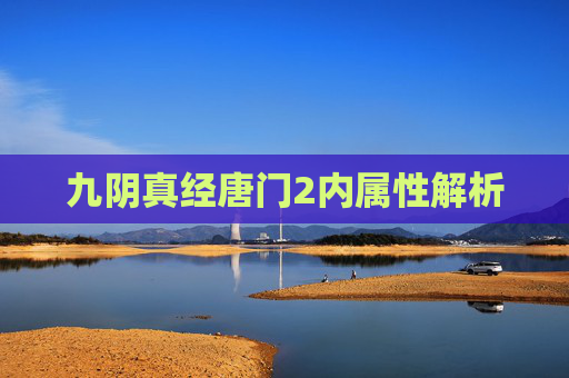 九阴真经唐门2内属性解析