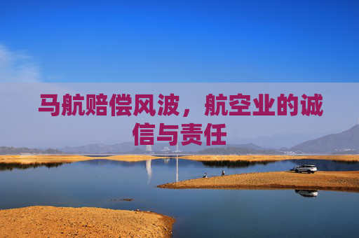 马航赔偿风波，航空业的诚信与责任