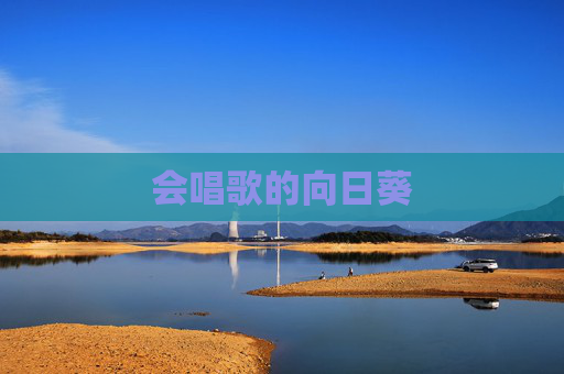 会唱歌的向日葵