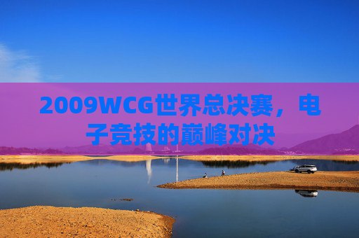 2009WCG世界总决赛，电子竞技的巅峰对决