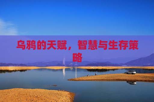 乌鸦的天赋，智慧与生存策略