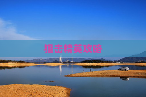 狙击精英攻略 狙击精英攻略