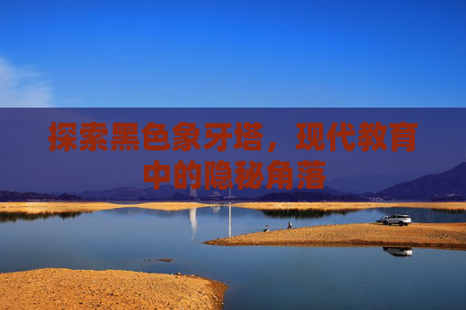 探索黑色象牙塔，现代教育中的隐秘角落