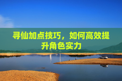 寻仙加点技巧，如何高效提升角色实力