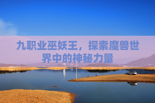 九职业巫妖王，探索魔兽世界中的神秘力量