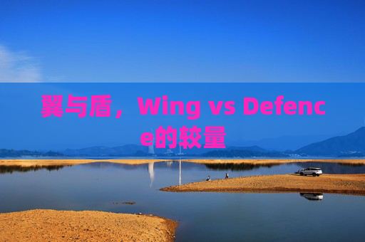 翼与盾,Wing vs Defence的较量 翼与盾,Wing vs Defence的较量