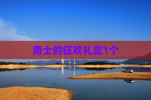 勇士的狂欢礼盒1个