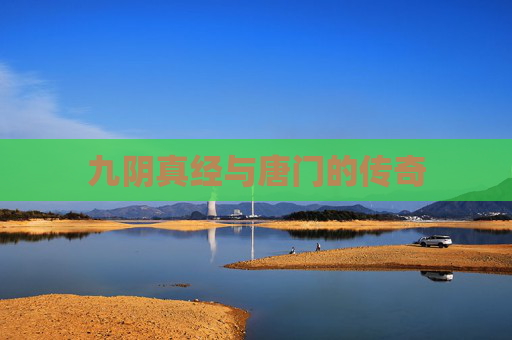 九阴真经与唐门的传奇 九阴真经与唐门的传奇