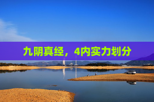 九阴真经,4内实力划分 九阴真经,4内实力划分