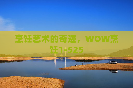 烹饪艺术的奇迹，WOW烹饪1-525