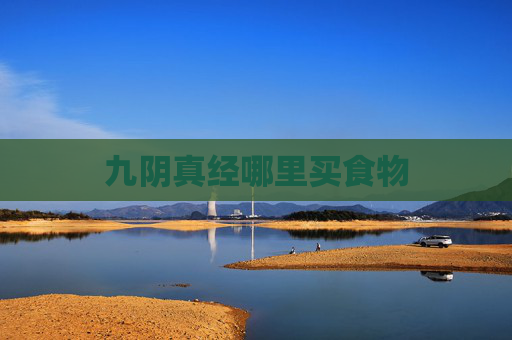 九阴真经哪里买食物