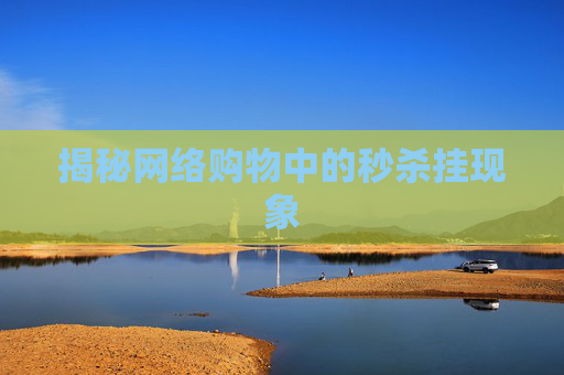 揭秘网络购物中的秒杀挂现象 揭秘网络购物中的秒杀挂现象