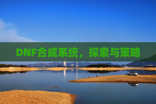 DNF合成系统，探索与策略