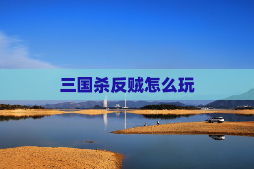 三国杀反贼怎么玩