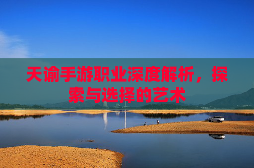 天谕手游职业深度解析，探索与选择的艺术