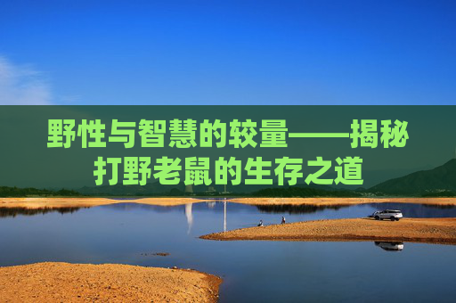 野性与智慧的较量——揭秘打野老鼠的生存之道