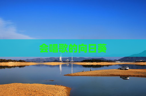 会唱歌的向日葵
