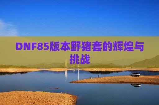 DNF85版本野猪套的辉煌与挑战