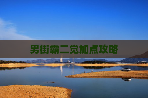 男街霸二觉加点攻略 男街霸二觉加点攻略