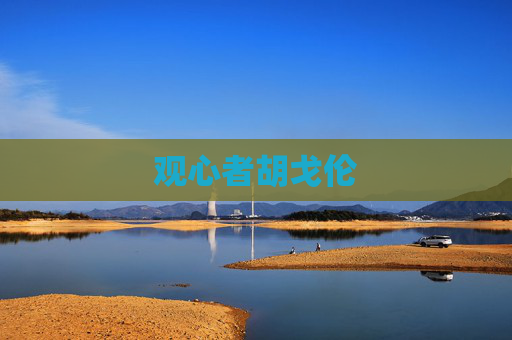 观心者胡戈伦
