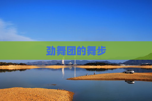 劲舞团的舞步