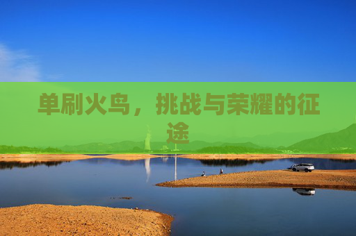 单刷火鸟，挑战与荣耀的征途