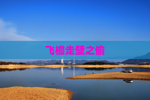 飞檐走壁之偷 飞檐走壁之偷