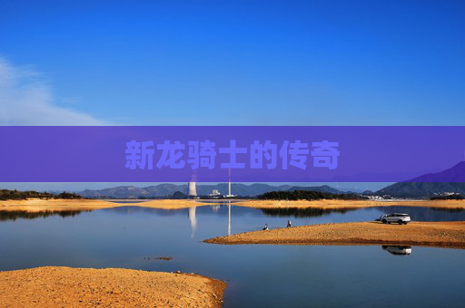 新龙骑士的传奇